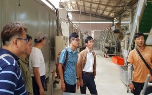 ICT栽培模式及氮肥施肥量對柴胡生長、光合作用及成分分析之研究11