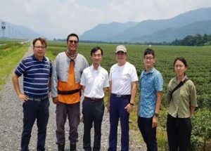 ICT栽培模式及氮肥施肥量對柴胡生長、光合作用及成分分析之研究13