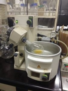ICT栽培模式及氮肥施肥量對柴胡生長、光合作用及成分分析之研究33