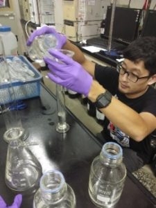 ICT栽培模式及氮肥施肥量對柴胡生長、光合作用及成分分析之研究34