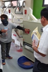 ICT栽培模式及氮肥施肥量對柴胡生長、光合作用及成分分析之研究6