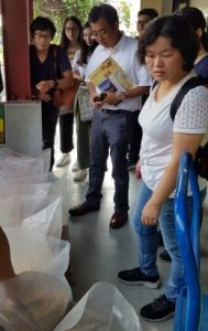 ICT栽培模式及氮肥施肥量對柴胡生長、光合作用及成分分析之研究7