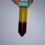 成功製備岀木鱉果油