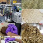 改良式八仙果製程之開發