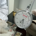 於齧齒類動物房進行抗發炎動物試驗，以厚薄計測量小鼠耳殼厚度，評估苦茶粕皂素抗發炎程度2。