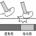 步態週期