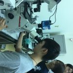 示範胚胎顯微操作
