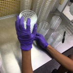 總生菌數與大腸桿菌測定