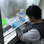 與學生進行實驗教學