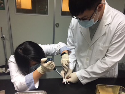 苦茶粕皂素之萃取及其生物活性研究