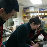 英國斯特靈大學博士生來台進行研究